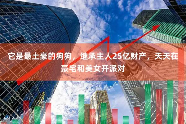 它是最土豪的狗狗，继承主人25亿财产，天天在豪宅和美女开派对