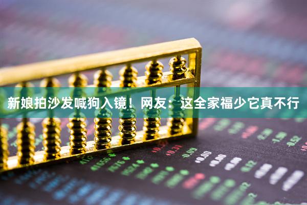 新娘拍沙发喊狗入镜！网友：这全家福少它真不行