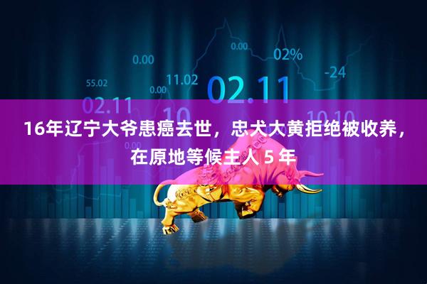 16年辽宁大爷患癌去世，忠犬大黄拒绝被收养，在原地等候主人５年